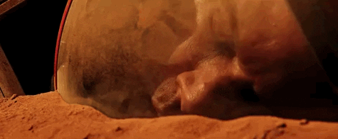 Content Image 16.Gif