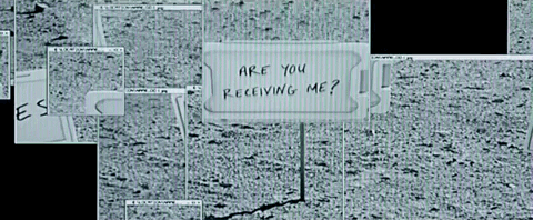 Content Image 7.Gif